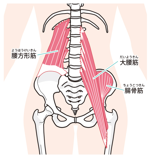 腸腰筋