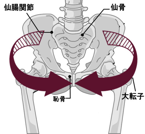 産後の骨盤矯正におすすめの骨盤ベルトを紹介 藤接骨院グループ